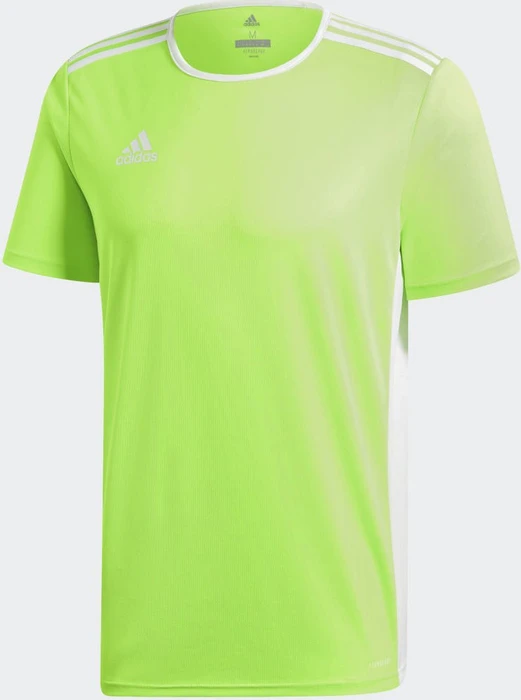 adidas Entrada 18 Trikot kurzarm solar green/white (Herren)