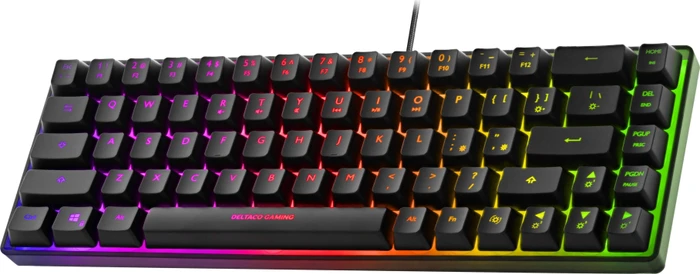 Deltaco Gaming DK240 Mini, 60%, schwarz, LEDs RGB, semi-transparent, USB, US