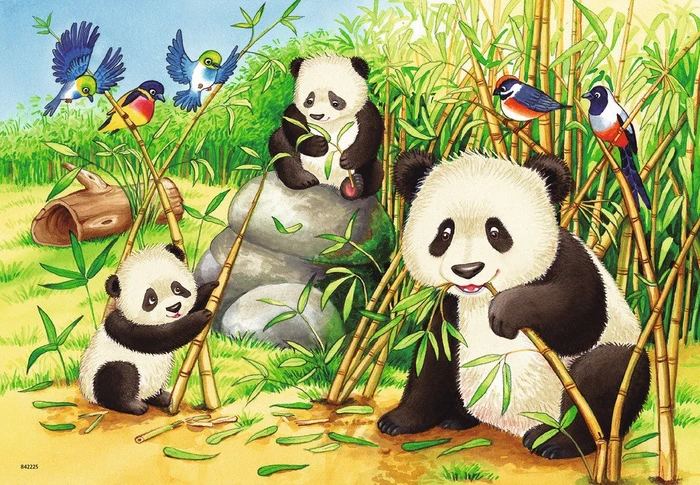 Ravensburger Puzzle Süße Koalas und Pandas
