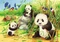Ravensburger Puzzle Süße Koalas und Pandas Vorschaubild
