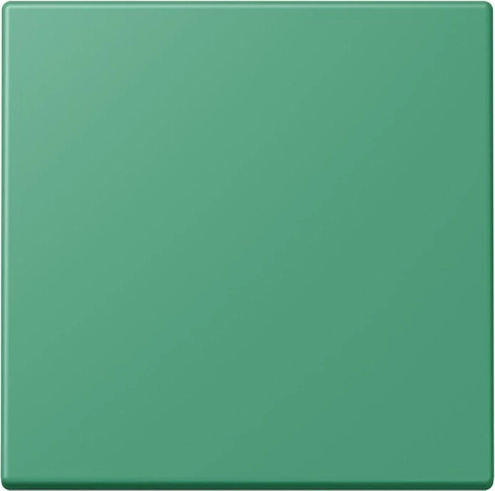 Jung Wippe 1-fach, vert 59