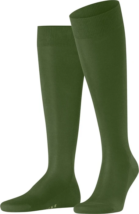 Falke Tiago Socken cypress (Herren)