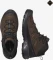 Salomon X Ultra 360 Leather Mid GTX dark earth/delicioso/castelrock (Herren) Vorschaubild