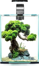 Aquael Day & Night 20 Aquarium-Set, schwarz, 19l