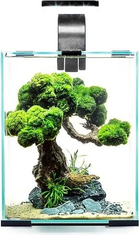Aquael Day & Night Aquarium-Set