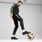 Puma Ultra 5 Ultimate FG puma black/puma silver/shadow grey Vorschaubild
