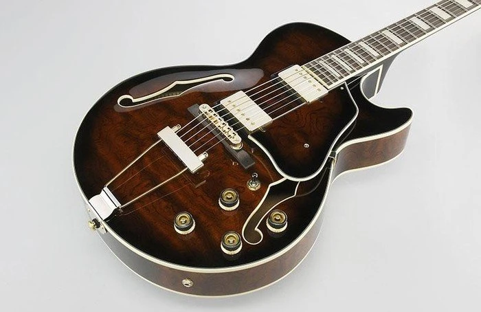 Ibanez Artcore Expressionist AG95 DBS Dark Brown Sunburst