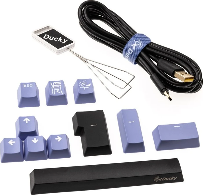 Ducky One 2 Pro Mini, PBT, schwarz, LEDs RGB, Kailh Box WHITE, USB, DE