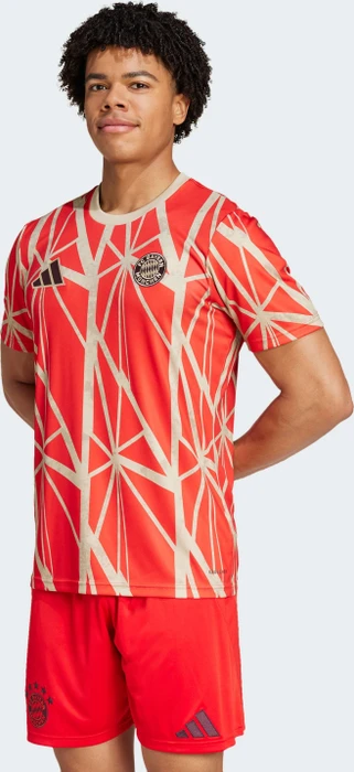 adidas FC Bayern München 2024/2025 Aufwärmshirt (Herren)
