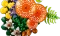 LEGO Botanicals - Waldpilze Vorschaubild