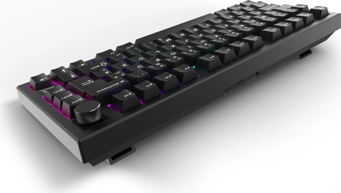 Sharkoon Skiller SGK55W, schwarz, LEDs RGB, hot-swap, Sharkoon Linear, USB, DE