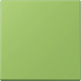 Jung Wippe 1-fach, vert 31