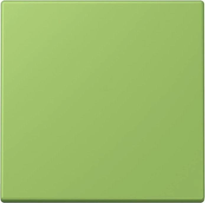 Jung Wippe 1-fach, vert 31