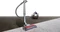 Dyson Big Ball Absolute 2 Vorschaubild