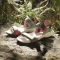 adidas Terrex Hydroterra sesame/core black/real magenta Vorschaubild