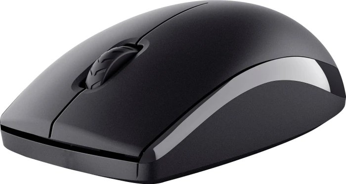 Trust Primo Funk Tastatur & Maus Set, USB, DE