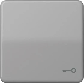 Jung Serie CD Wippe Duroplast mit Symbol "Tür", grau