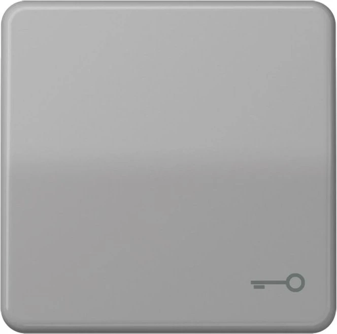 Jung Serie CD Wippe Duroplast mit Symbol "Tür", grau
