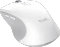 Trust Ferro Hyperwheel Multi-Device Wireless Mouse weiß, USB/Bluetooth Vorschaubild