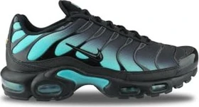Nike Air Max Plus black/dusty cactus (Herren)
