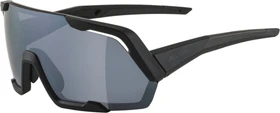 Alpina Rocket cool grey matt/black