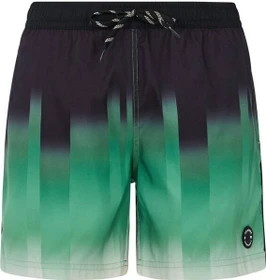Protest Bowery Badeshorts cactus green (Herren)