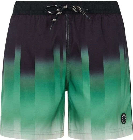Protest Bowery Badeshorts cactus green (Herren)