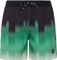 Protest Bowery Badeshorts (Herren) Vorschaubild
