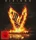 Vikings - Die komplette Serie (DVD)