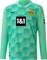 Puma BVB Borussia Dortmund Replica Torwarttrikot langarm (Junior) Vorschaubild