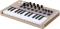Arturia MiniLab 3 Champagne Edition Vorschaubild