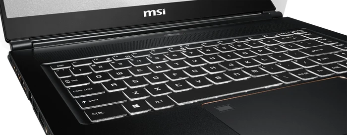 MSI WS65 9TJ-006 Workstation WS65 9TJ-006, Core i7-9750H, 32GB RAM, 1TB SSD, Quadro T2000, DE