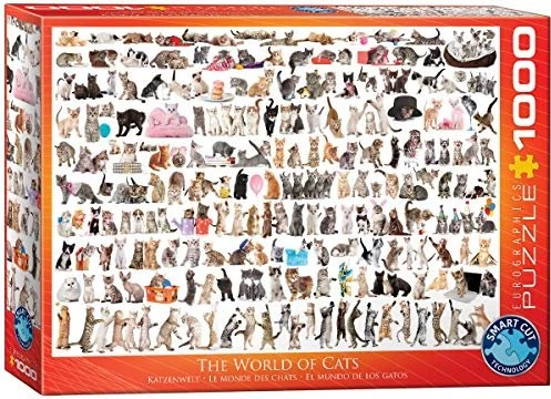 Eurographics The World of Cats