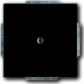 Busch-Jaeger Zentralscheibe für Leitungsauslass 1-fach mit Tragring schwarz matt - Plattform 63