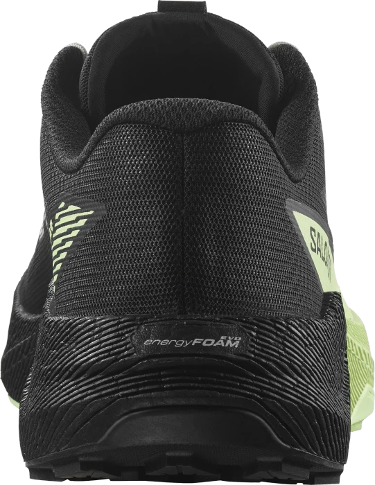Salomon Pulsar black/patina green (Herren)