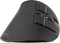 Natec Euphonie Vertical Wireless Mouse schwarz, USB/Bluetooth Vorschaubild