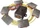 Kemo Electronic Marder-Abwehr Set (M176)