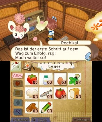 Hometown Story (3DS)