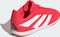 adidas Predator Club Sala IN lucid red/cloud white/core black (Junior) Vorschaubild