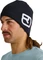Ortovox Rock'N'Wool Beanie dark sage Vorschaubild