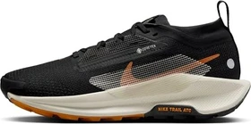 Nike Pegasus off-noir/black/monarch/pale ivory (Damen)