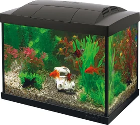 SuperFish Start 20 Goldfish Kit, schwarz, 16l