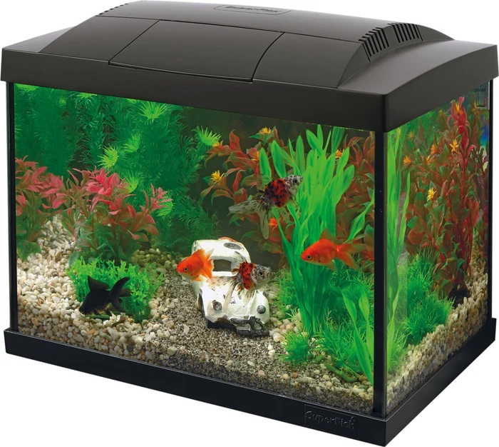 SuperFish Start 20 Goldfish Kit, schwarz, 16l