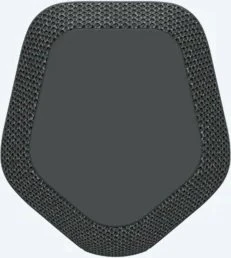 Sony SRS-XE300 schwarz
