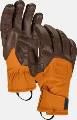 Ortovox Alpine Pro Skihandschuhe