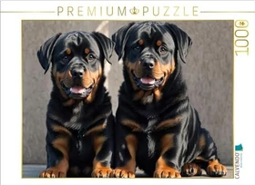 Calvendo Majestätische Rottweiler - Voller Kraft und Loyalität