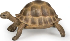 Papo Wildtiere der Welt - Schildkröte