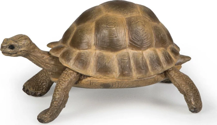 Papo Wildtiere der Welt - Schildkröte