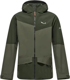 Salewa Puez Gore-Tex Epe Funktionsjacke dark olive (Herren)