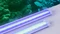 Aquatlantis Easy LED Universal 2.0 Deep Blue, T5/T8, 450-700mm, 20W Vorschaubild